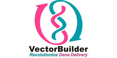 Vector Builder 